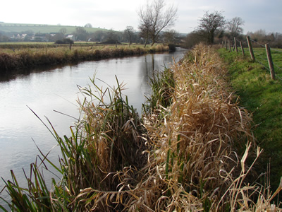 River Wylye